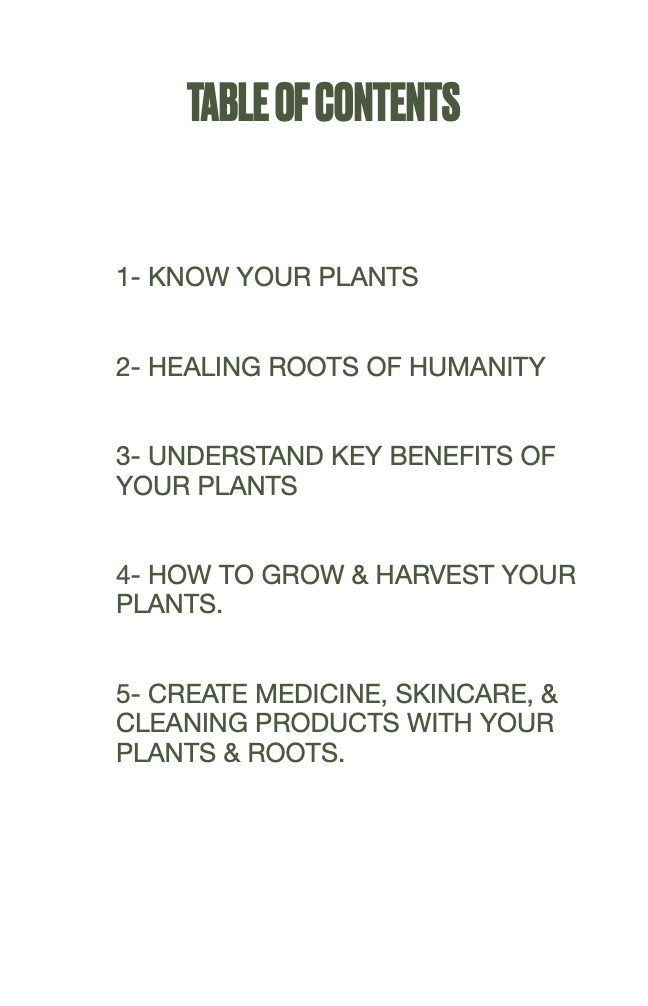 Learn Basic Herbalism: Volume 1: Cultivate The Skill of Herbal Alchemy