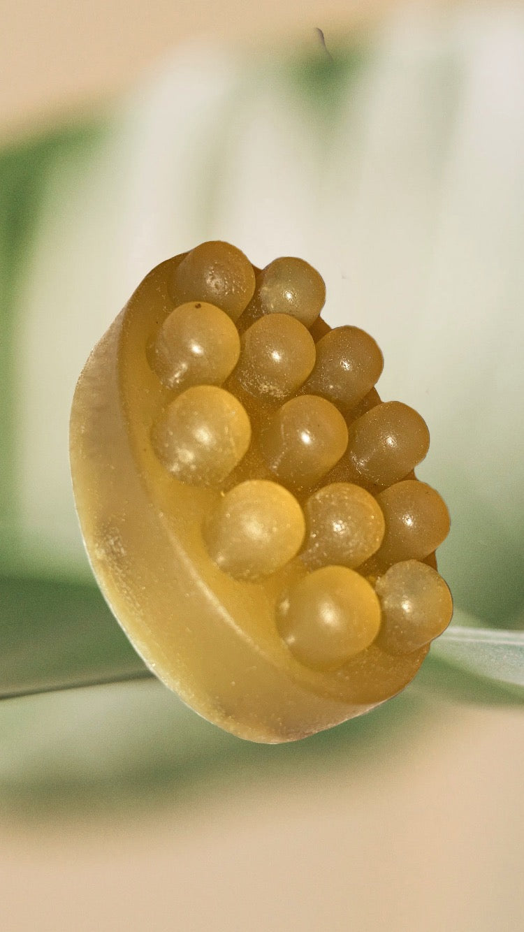 Golden Crown Shampoo Bar